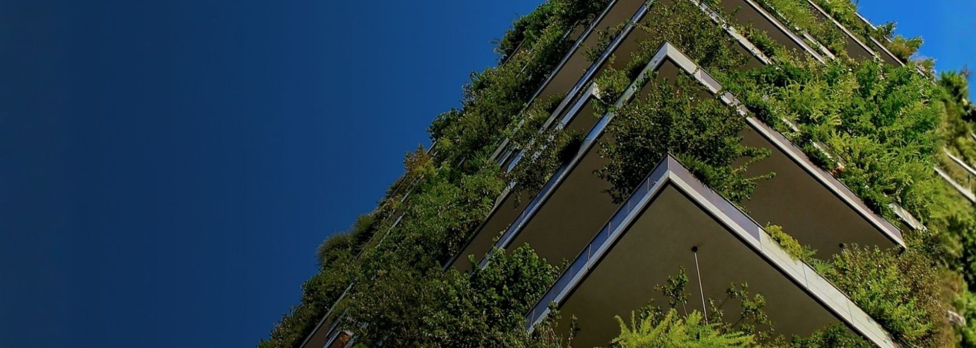 Environmental Management