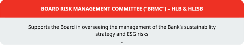 Board Risk Management Committee
