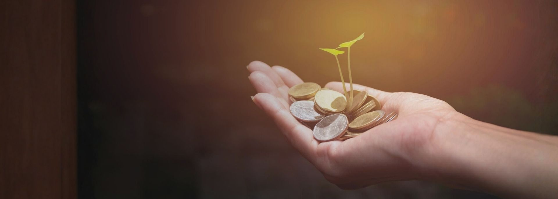 Sustainable Finance Products & Services