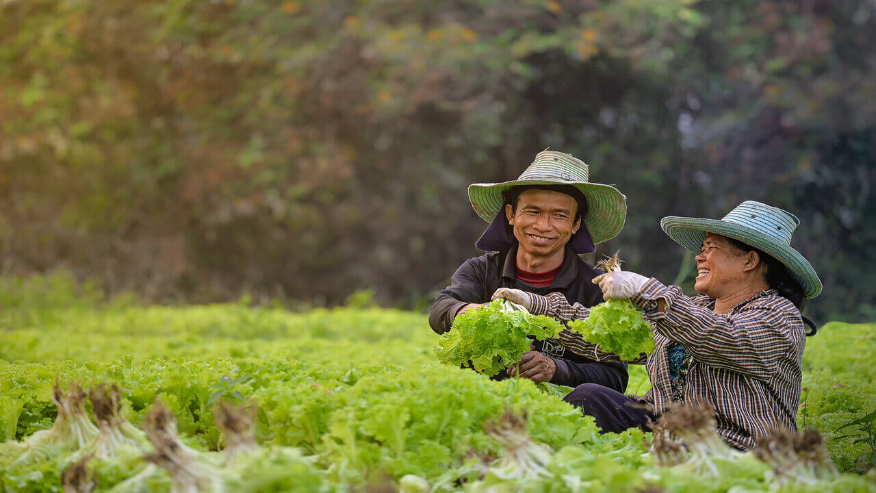 BNM Kemudahan Agromakanan (AF)