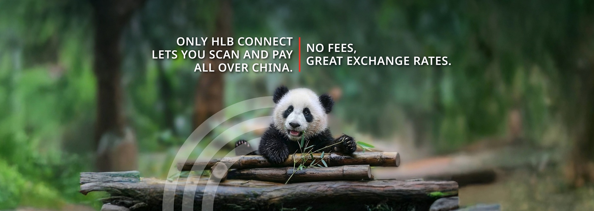 Only HLB Connect. Let you scan and pay all over China. No fees, great exchange rates.
