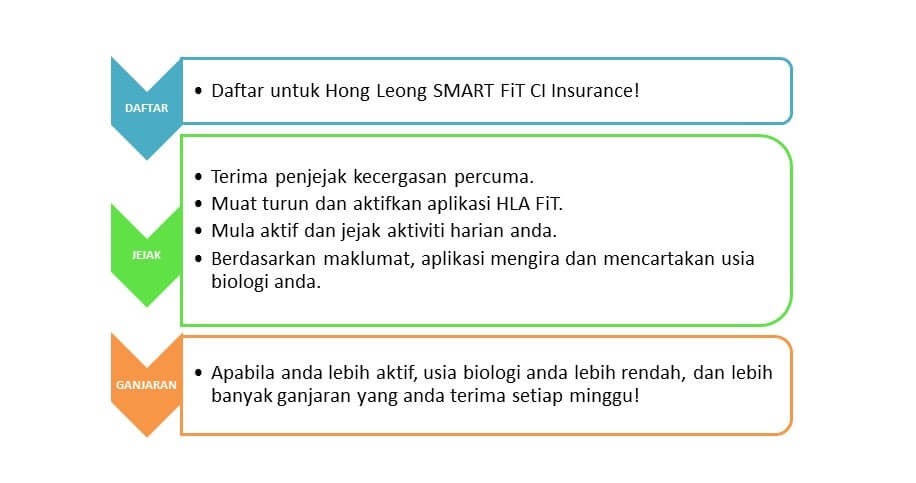 hl smart fit ci insurance body1 bm