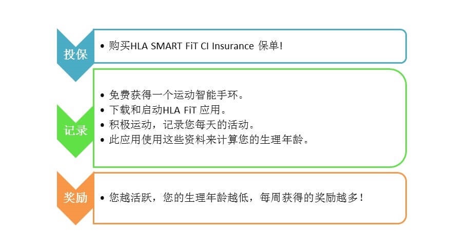 hl smart fit ci insurance body1 chi