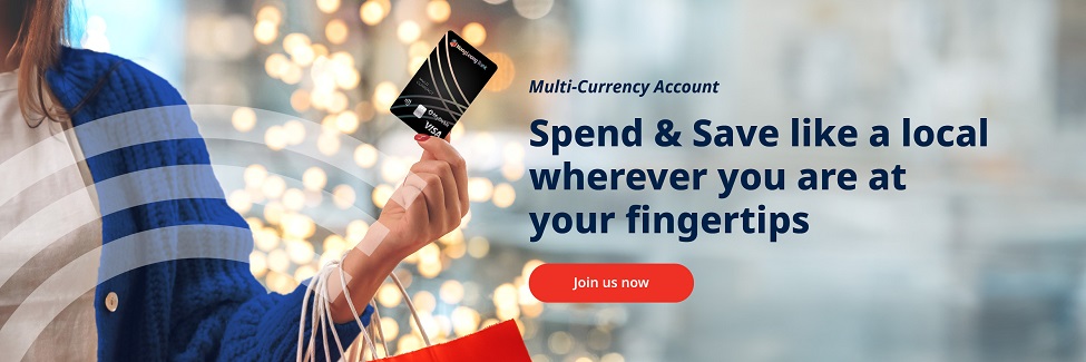 Your travels, your finances—simplified.