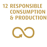 responsable consumption and production