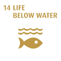 life below water