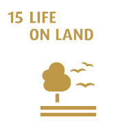 life on land