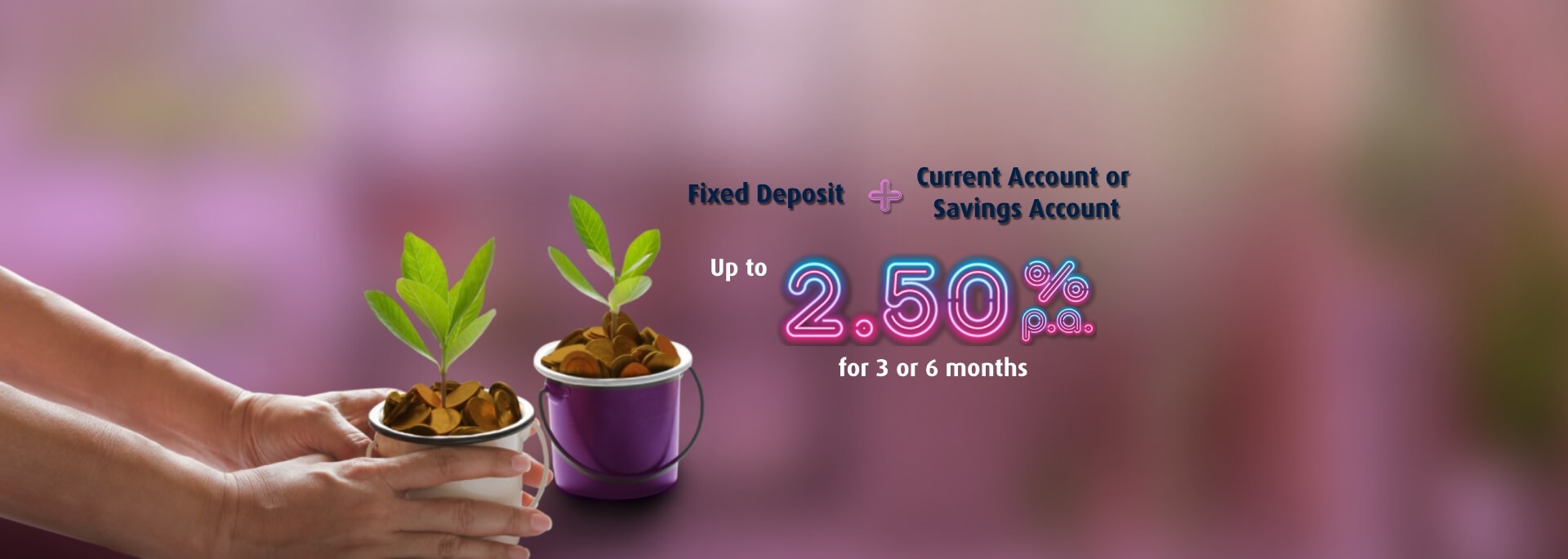 Fixed Deposit With Current Or Savings Account Promotion Hong Leong Bank