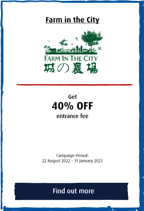 Farm in the City