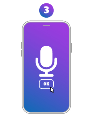  Click OK to enable mic recording*