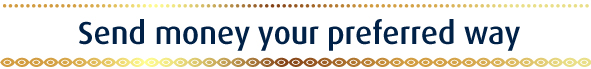 Send money your preferred way