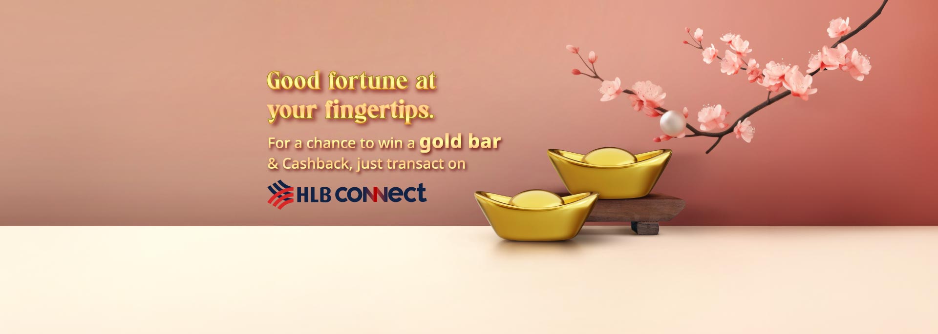 HLB Connect Chinese New Year Promotions