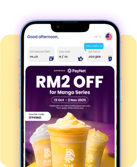 paynet fpz zus step 1