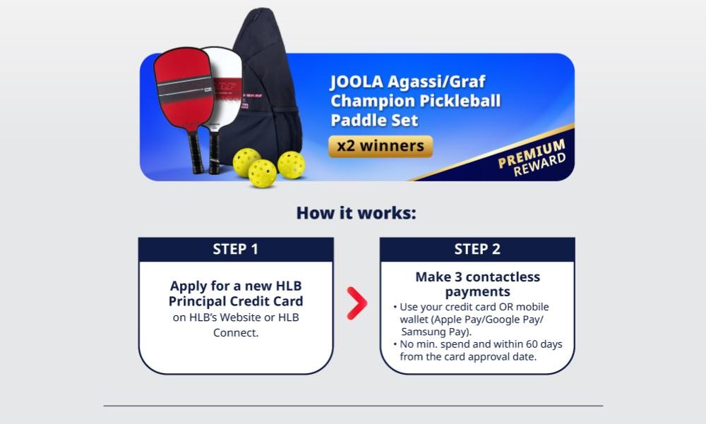 JOOLA Agassi/Graf Champion Pickleball Paddle Set