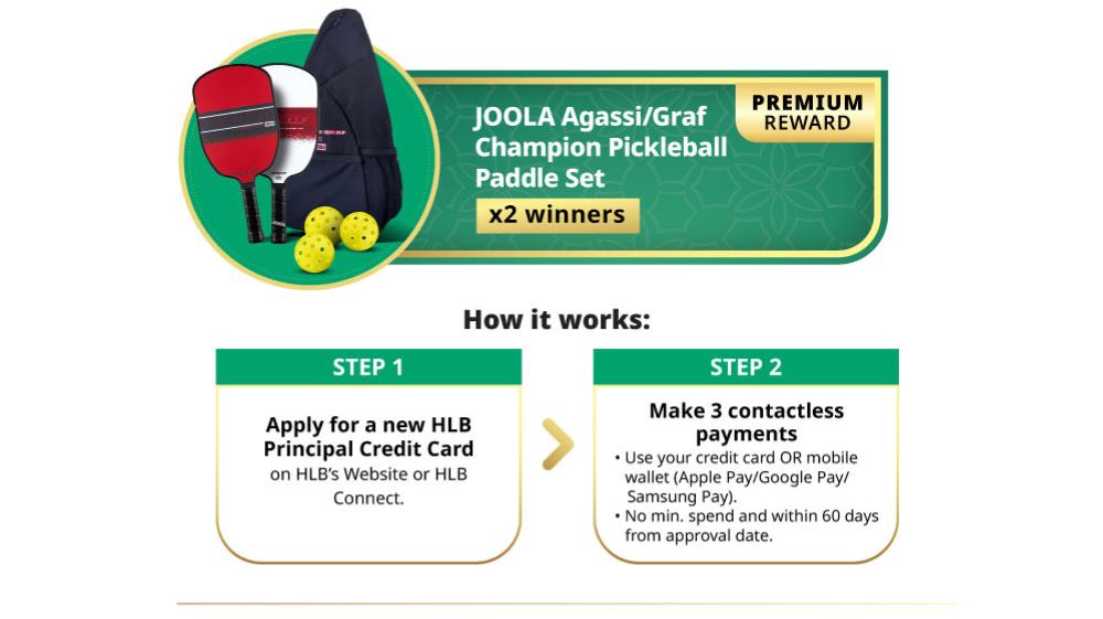 JOOLA Agassi/Graf Champion Pickleball Paddle Set