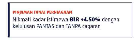 Business Cash Loan