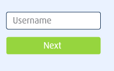 Step 1: Log in to Connect Online Banking.