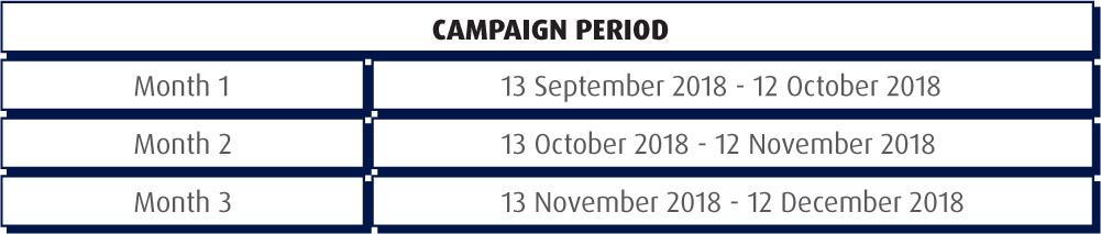 Campaign period