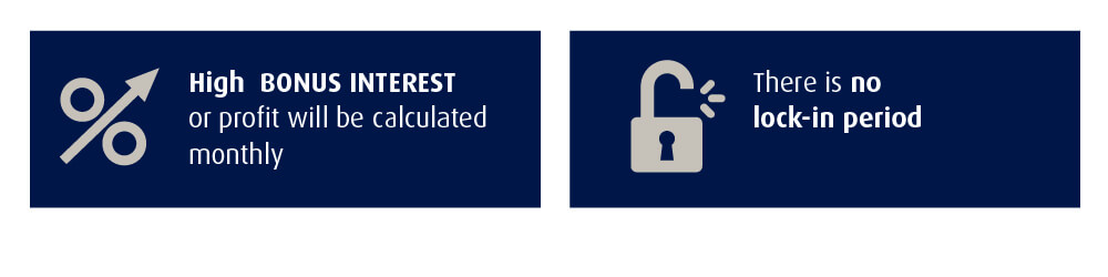 Priority Banking Bonus Interest Campaign