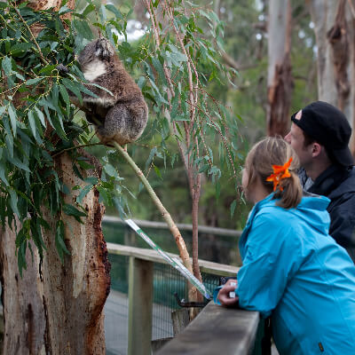 sightseeing sydney melbourne