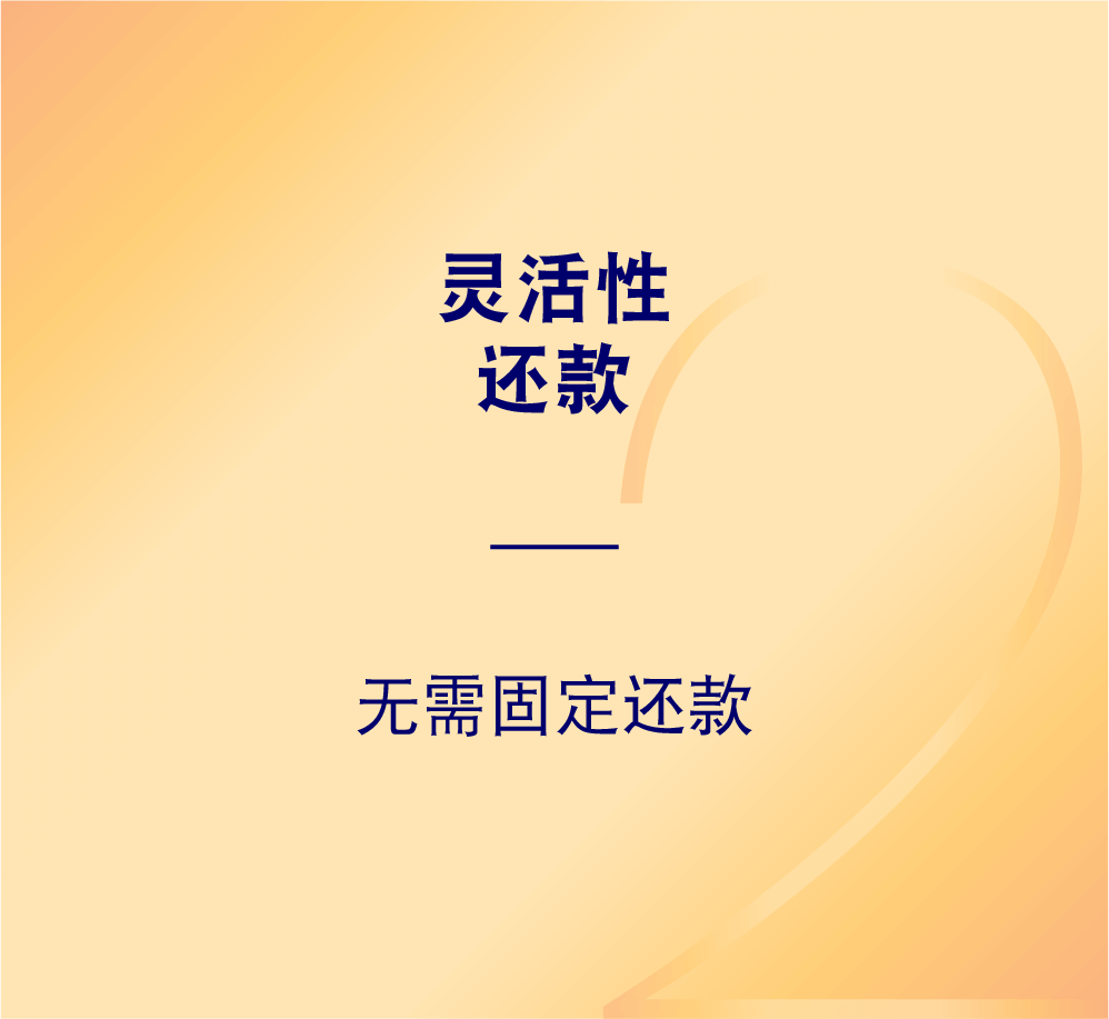 灵活性 还款