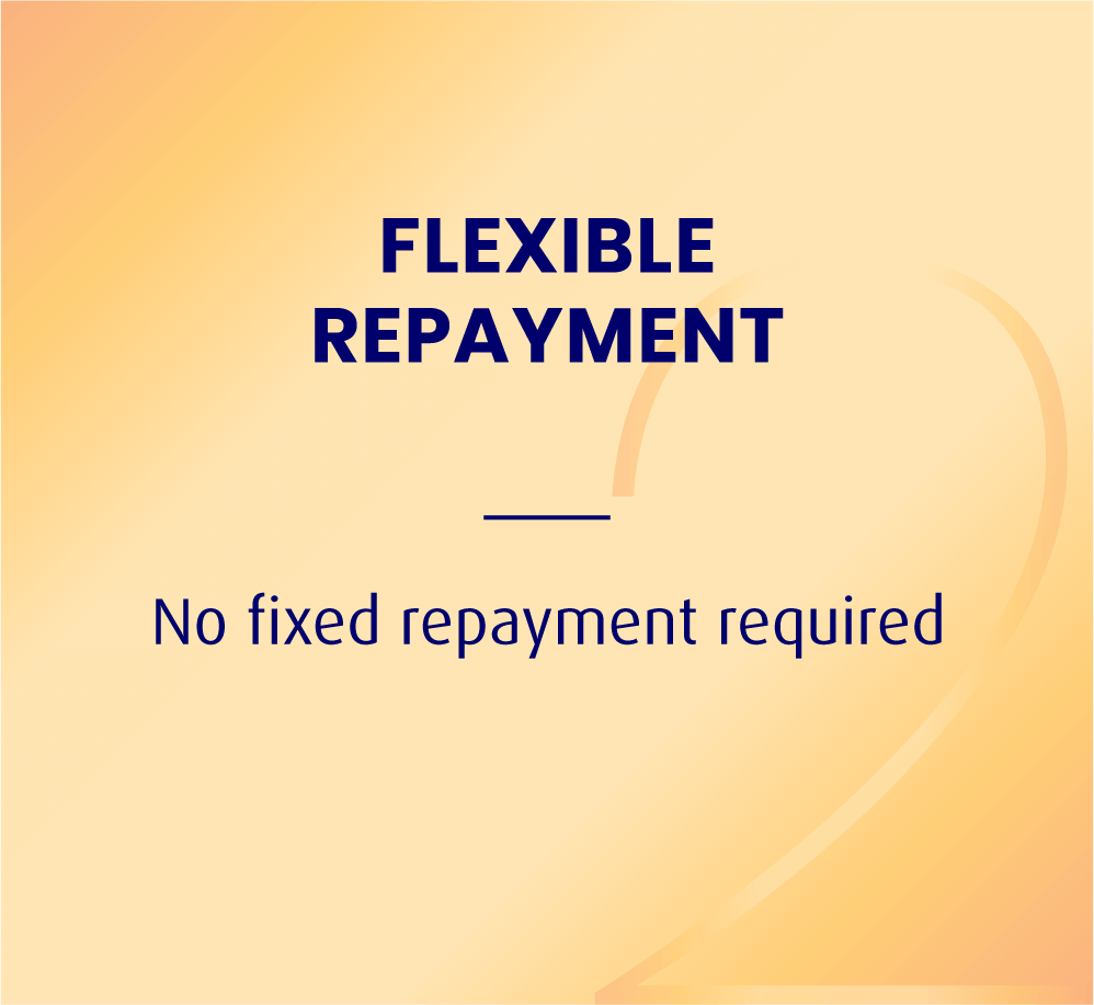 Flexible Repayment