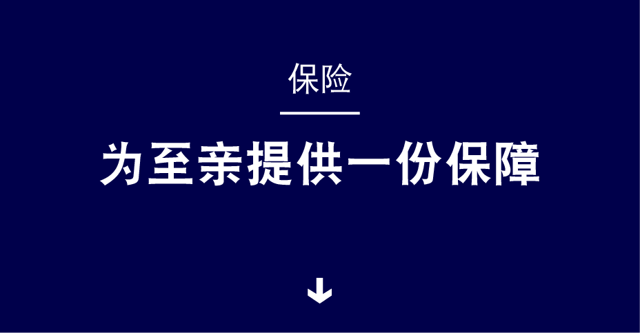 保险