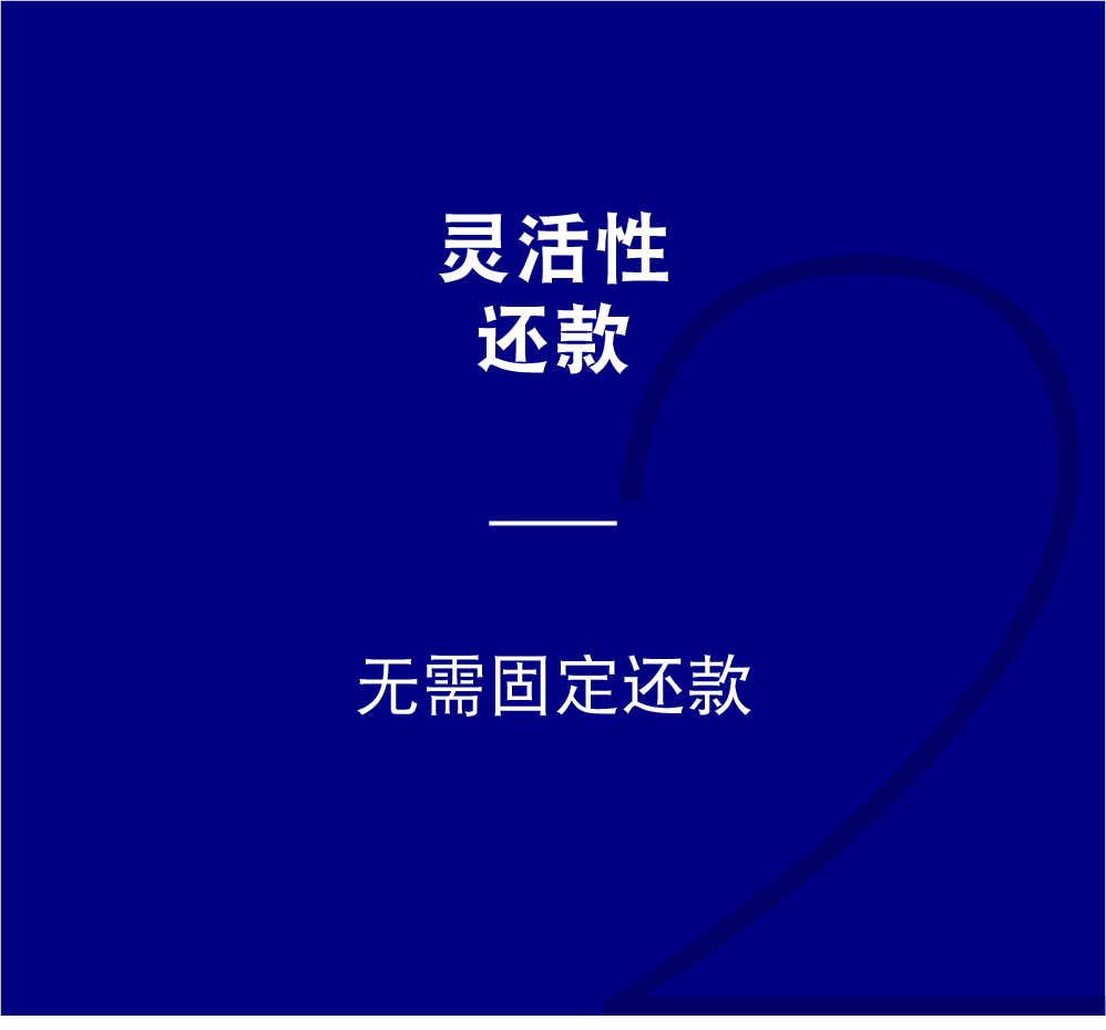 灵活性 还款