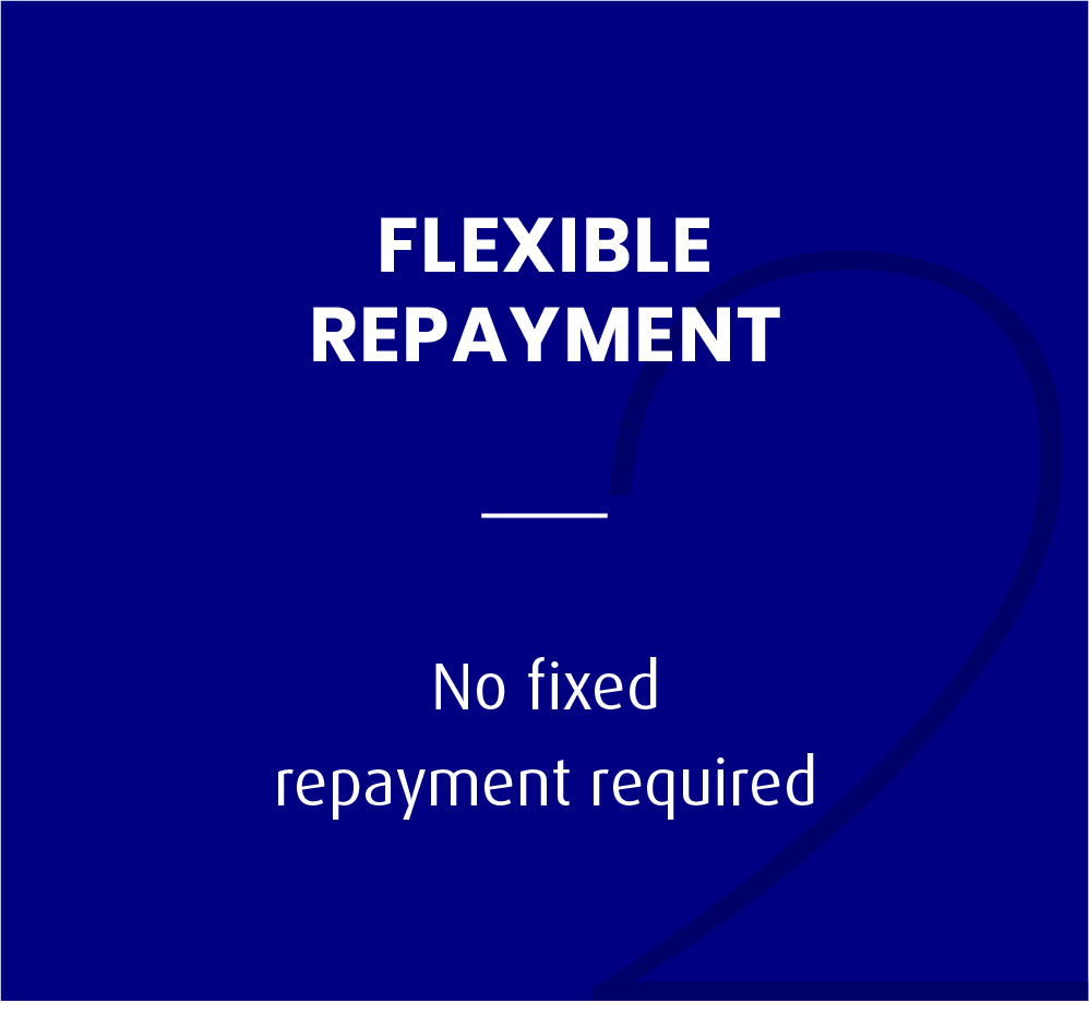Flexible Repayment