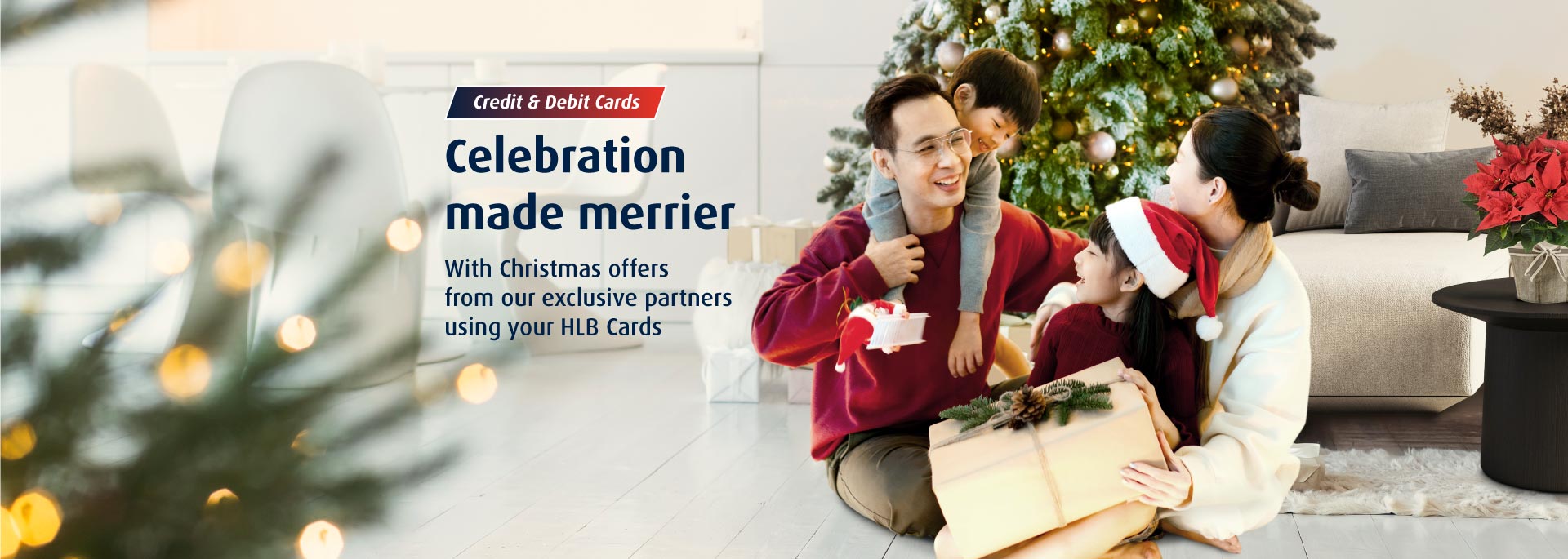 HLB Card Offers